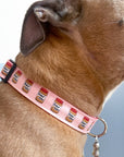 Peanut Butter Dog Collars