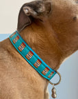 Peanut Butter Dog Collars