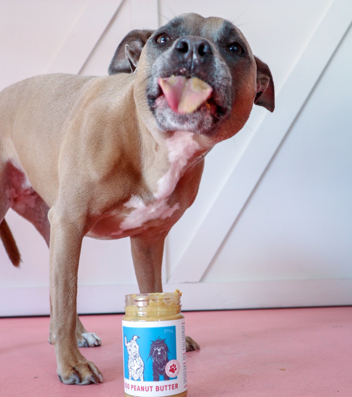 Dog Peanut Butter